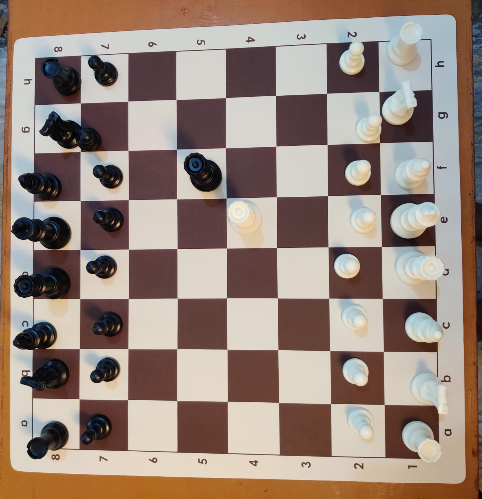 Canvas Chess Sets